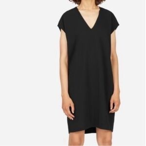 Everlane Black V-Neck Mini Dress